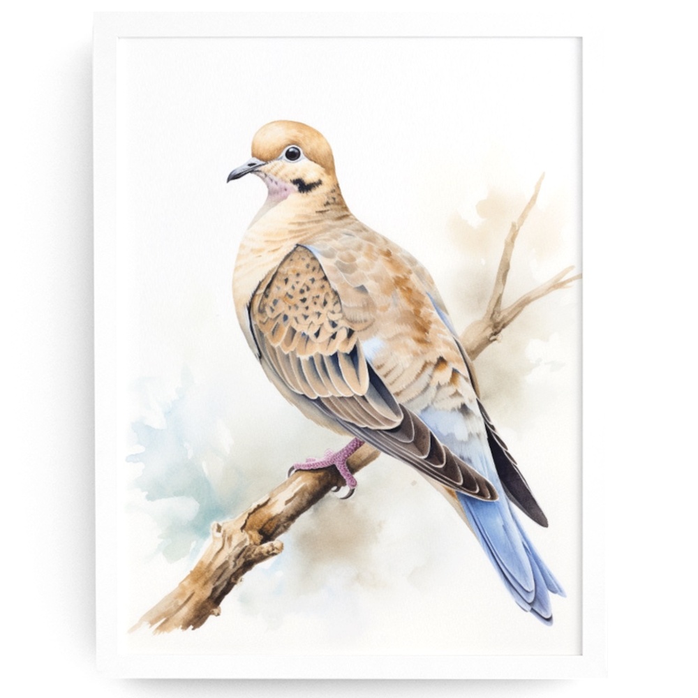 Watercolor Mourning Dove Bird Portrait Wall Art Illustration Print Unframed